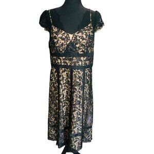Ann Taylor Loft Womens Black Cap Sleeve Lace Overlay V-Neck A Line Dress 12P
